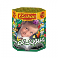 Красноярск Батареи салютов до 25 залпов РП служба доставки Батареи салютов до 25 залпов РП Красноярск